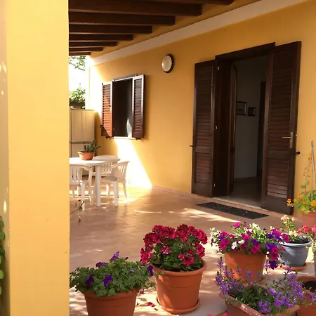 Il Terrazzo Sui Tetti Apartment